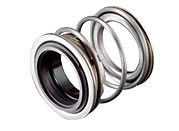 Type 2 Mech Seal